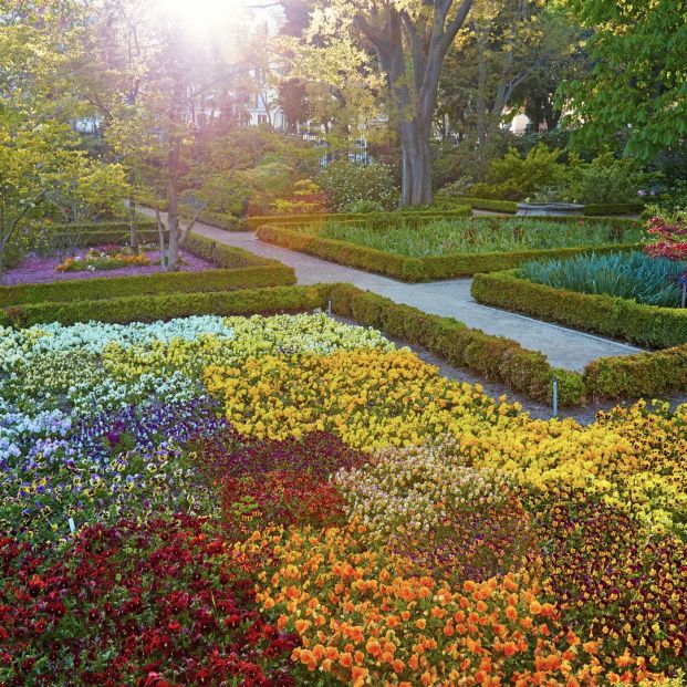 Qué secretos esconde el Real Jardín Botánico de Madrid