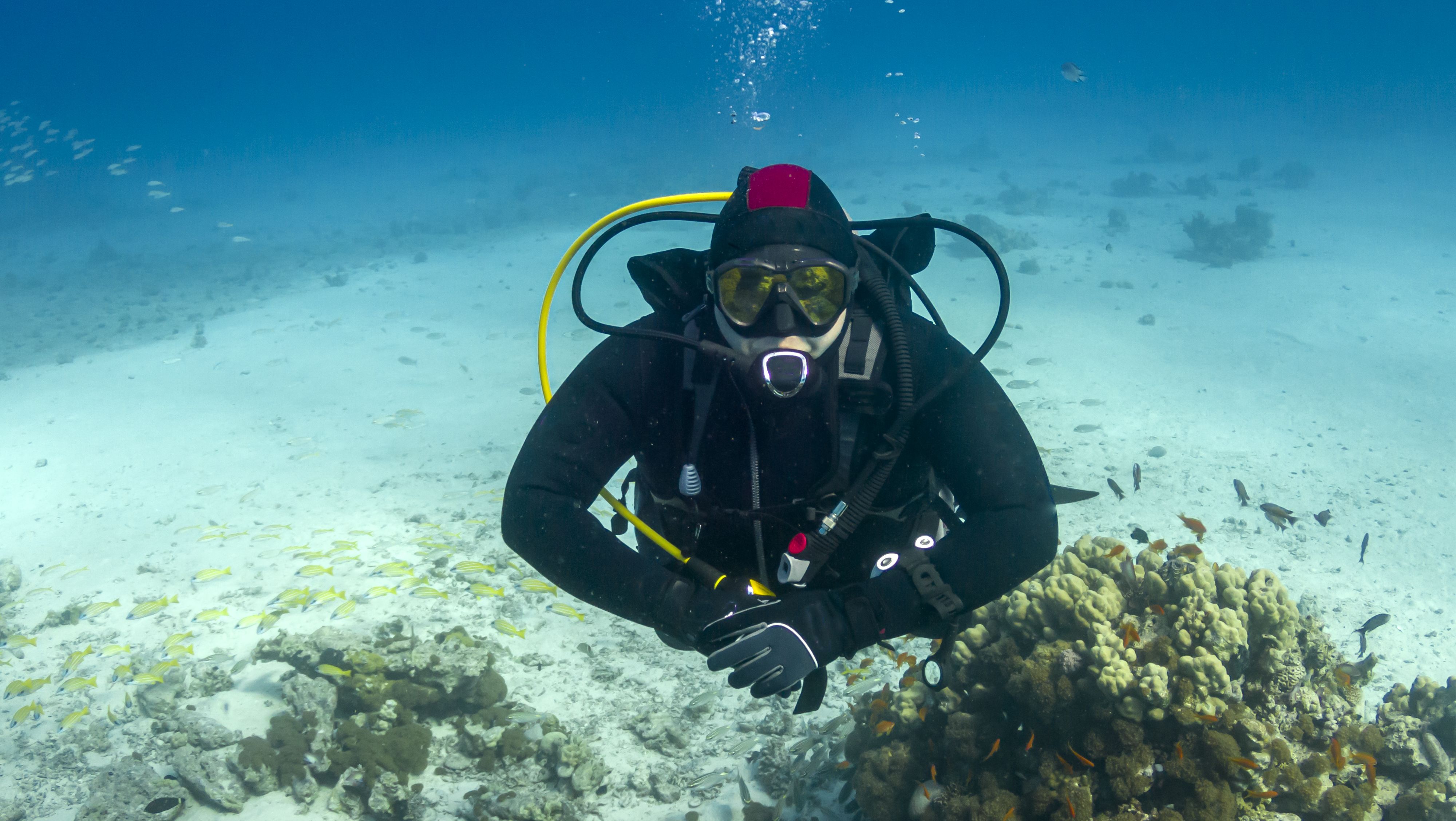 Los secretos del vino romano se encuentran en el fondo del mar