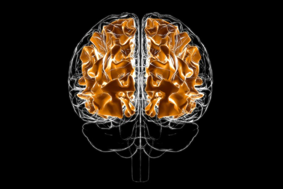 La menopausia aumenta el riesgo de ictus, alzhéimer y deterioro cognitivo