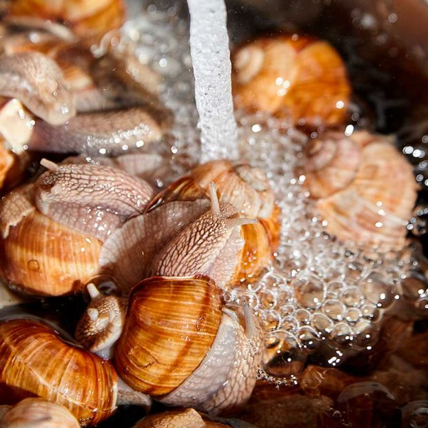 Cómo limpiar los caracoles fácilmente antes de cocinarlos