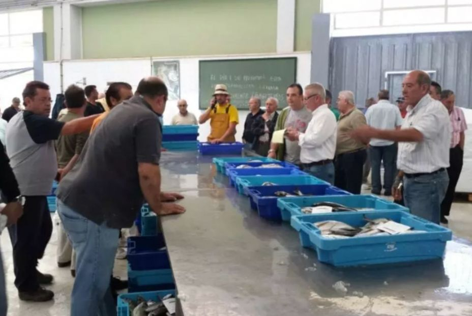 Subasta de pescado en la lonja de San Pedro del Pinatar - AYUNTAMIENTO SAN PEDRO Subasta de pescado en la lonja de San Pedro del Pinatar - AYUNTAMIENTO SAN PEDRO