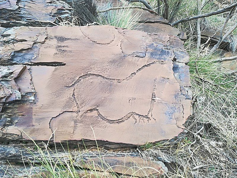 Piedras Blancas. Foto Wikipedia