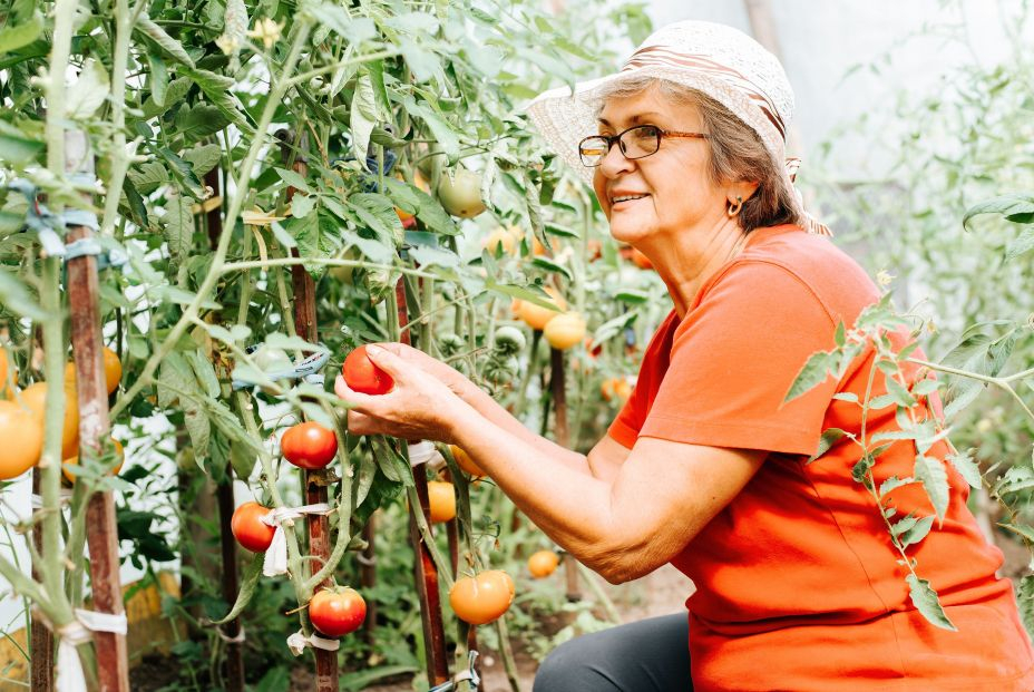 La jardinería puede mejorar la salud mental, según un estudio