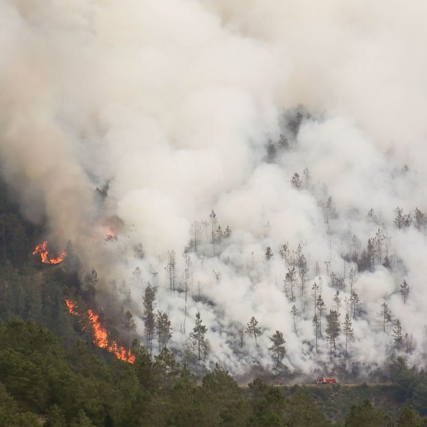 ¿Qué hacer si me pilla un incendio en carretera? Foto: Europa Press