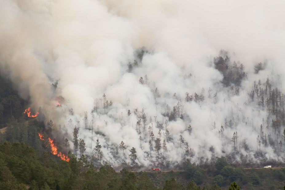 ¿Qué hacer si me pilla un incendio en carretera? Foto: Europa Press