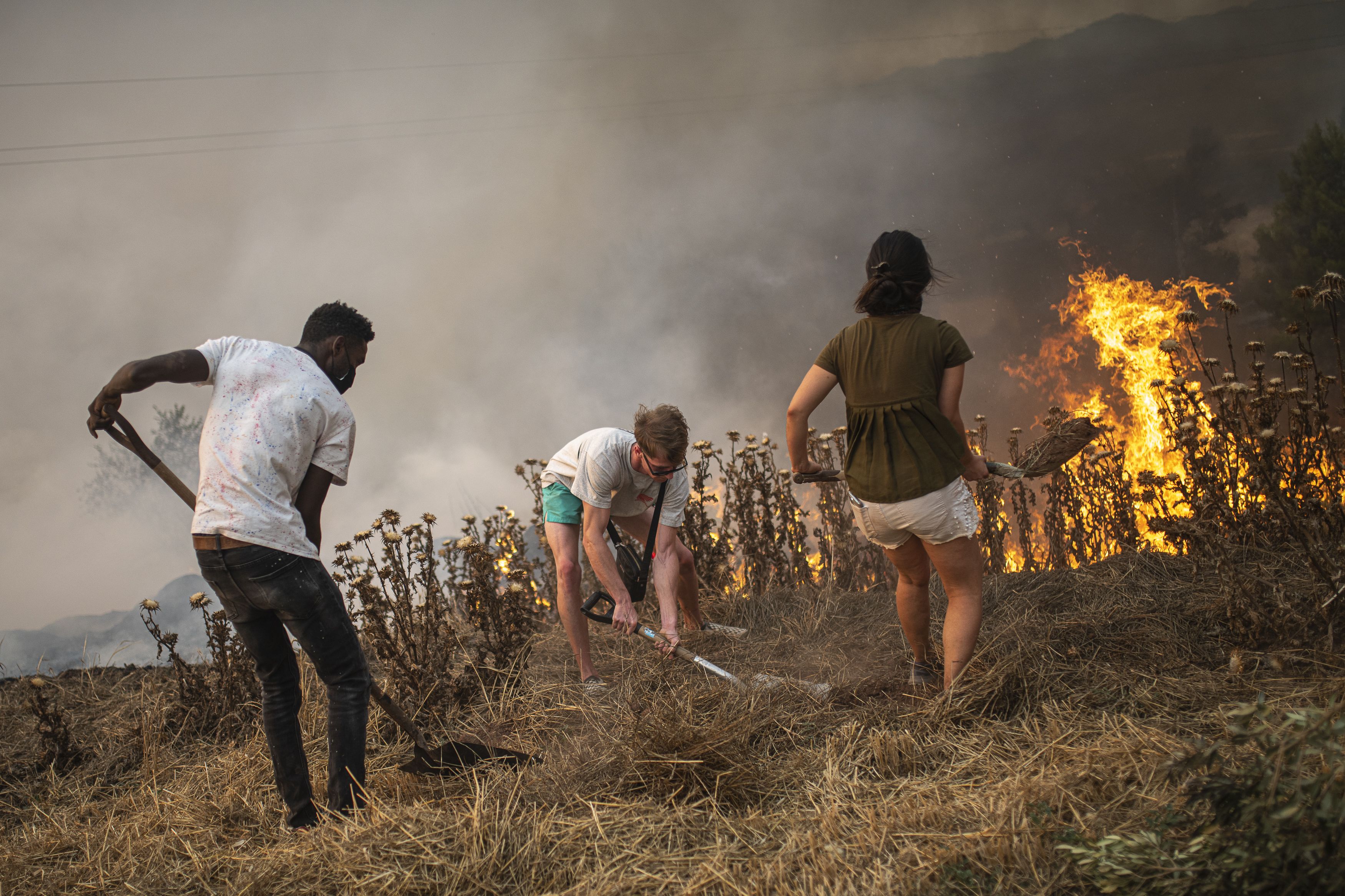 Balance: los incendios forestales han arrasado 168.738 hectáreas desde enero hasta el 7 de agosto