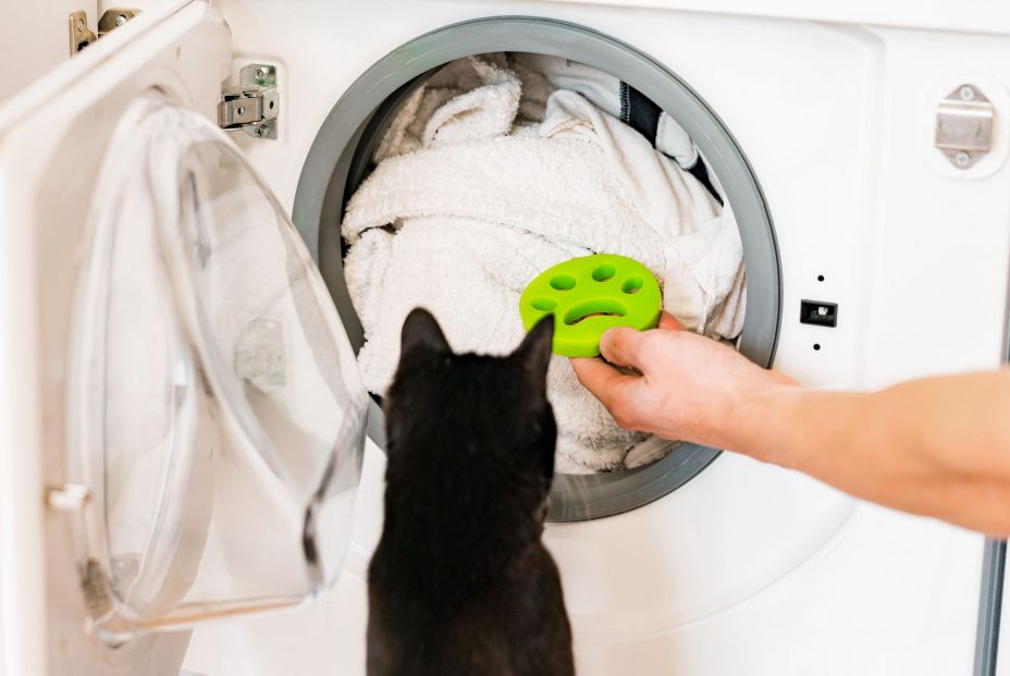 Cómo quitar el pelo de perros y gatos para que no estropee la lavadora Cómo quitar el pelo de perros y gatos para que no estropee la lavadora