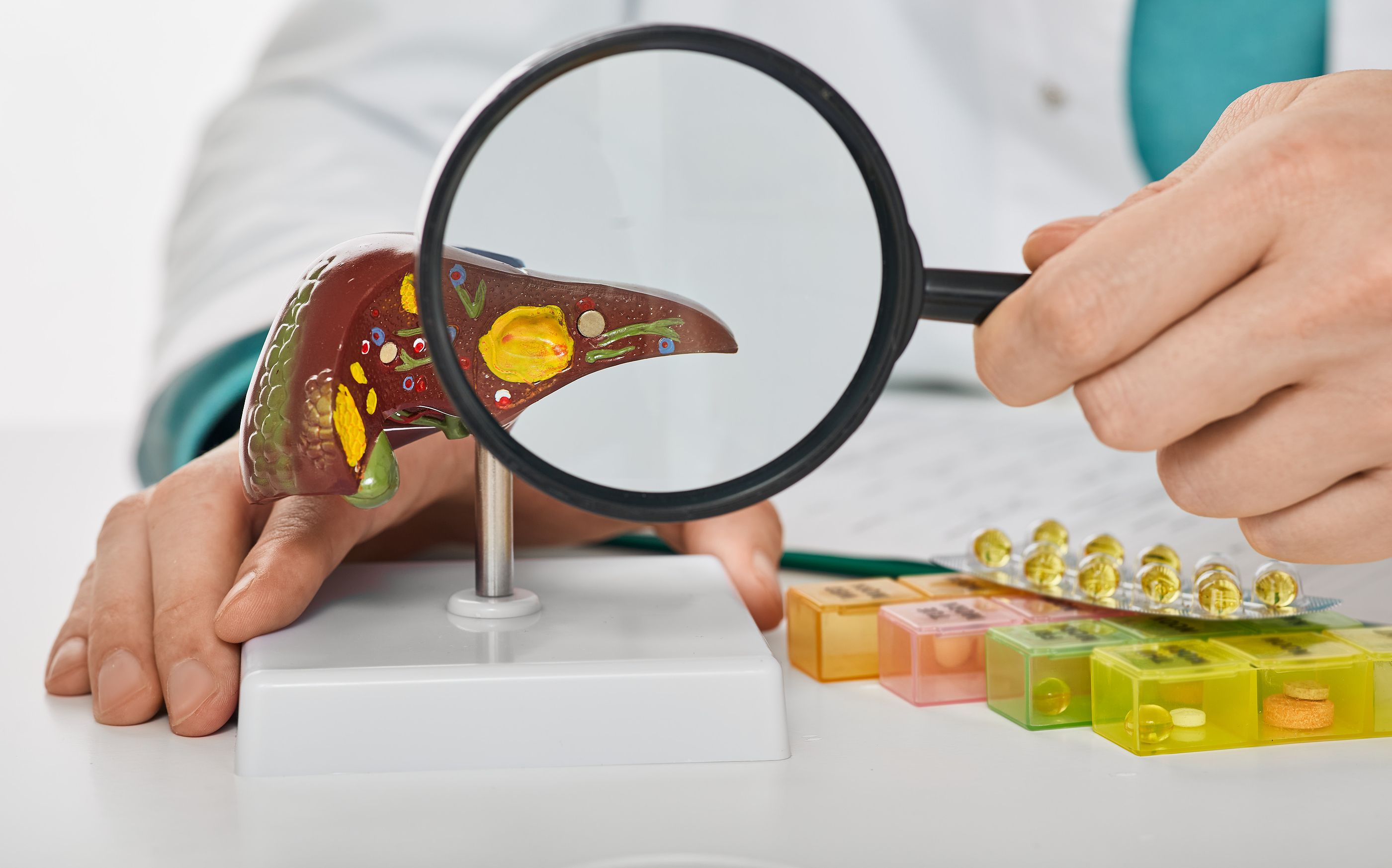 Hepatitis Hepatitis