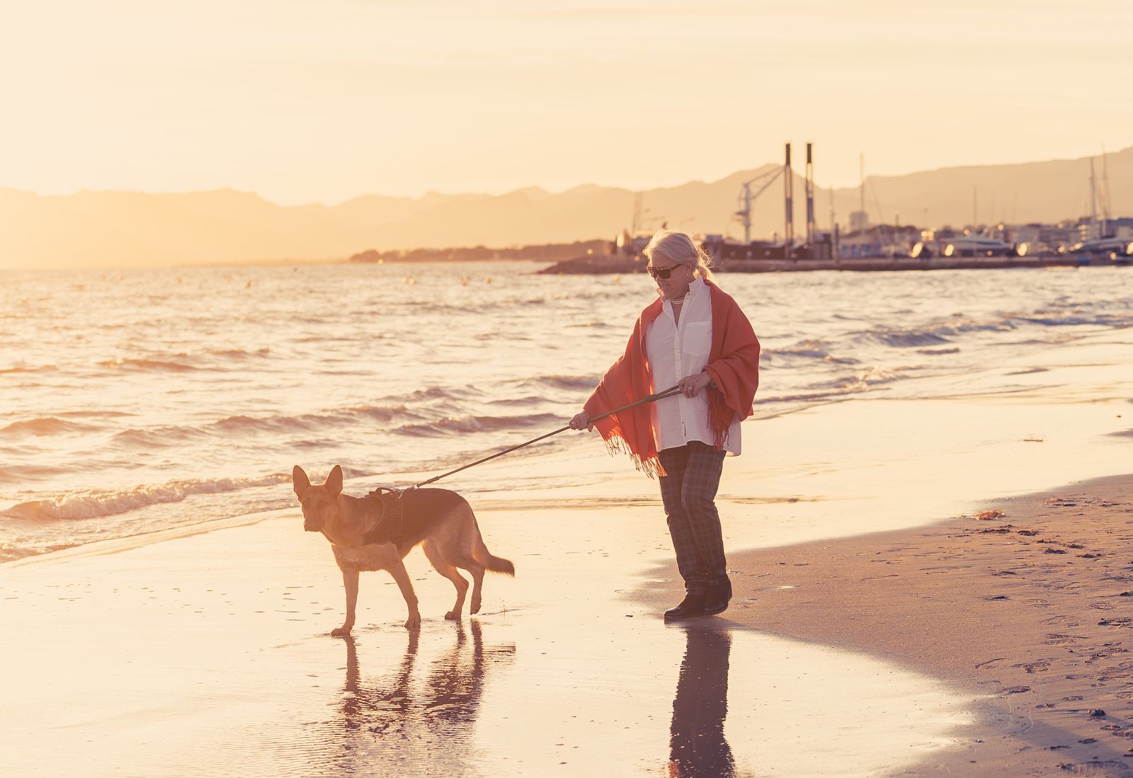 Las mejores playas caninas de las Islas Canarias