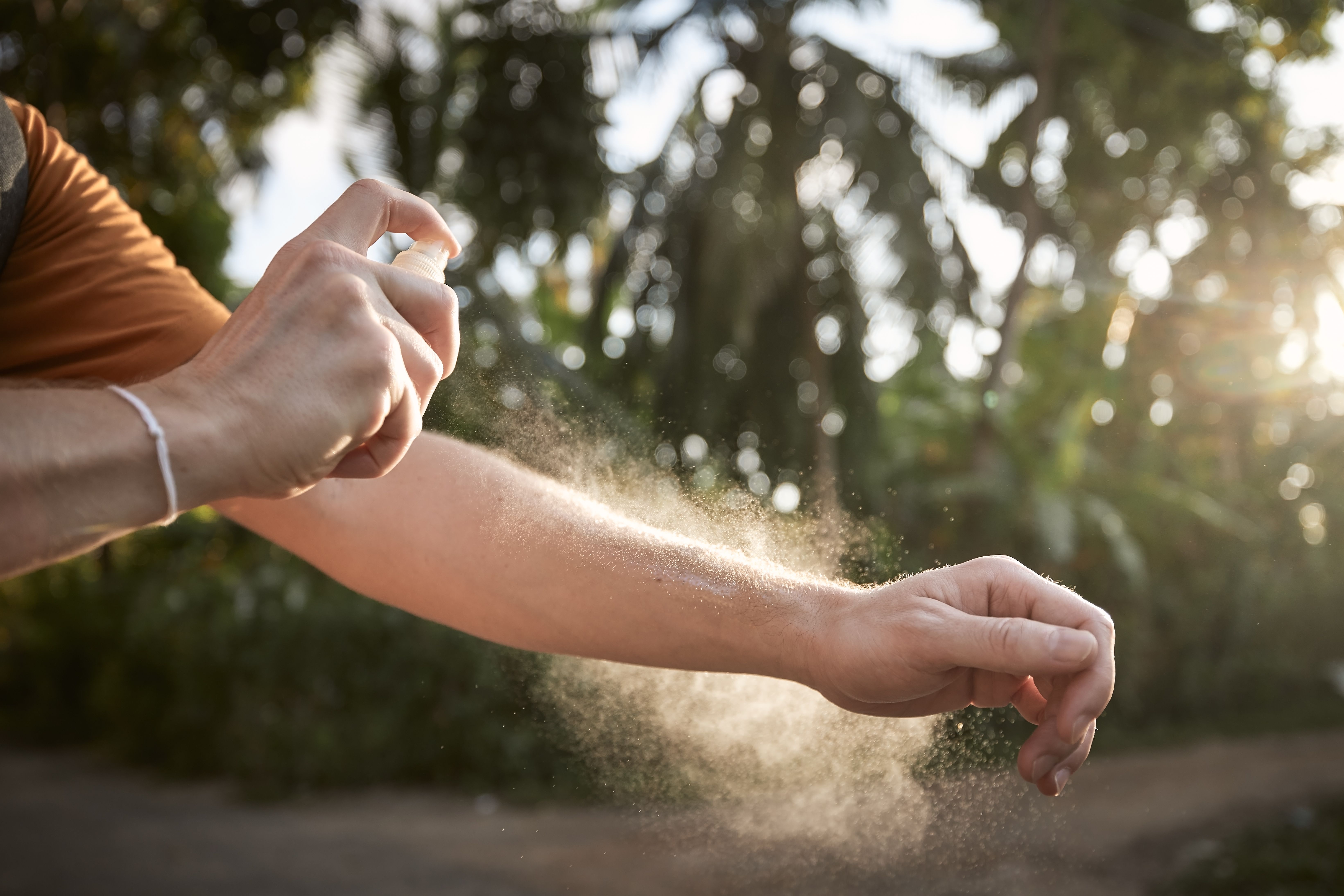 Los dos productos que no sirven para nada contra los mosquitos, según la OCU