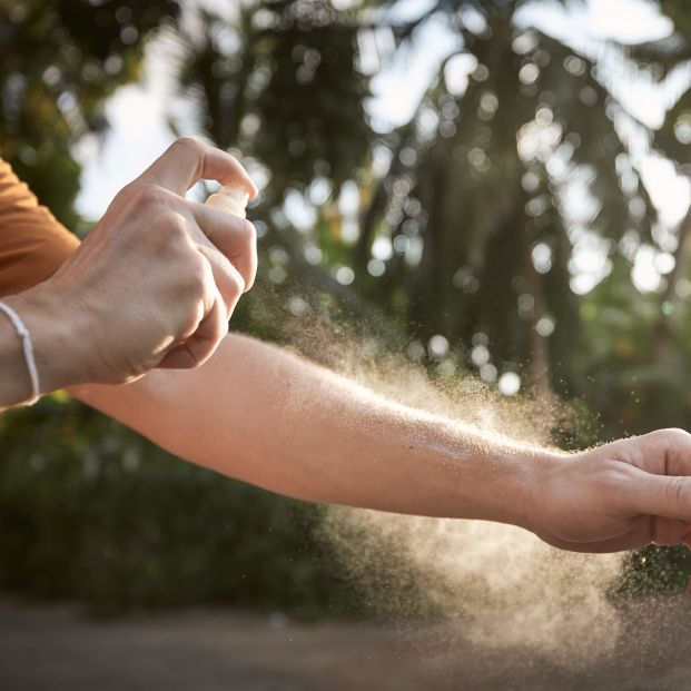 Los dos productos que no sirven para nada contra los mosquitos, según la OCU Los dos productos que no sirven para nada contra los mosquitos, según la OCU