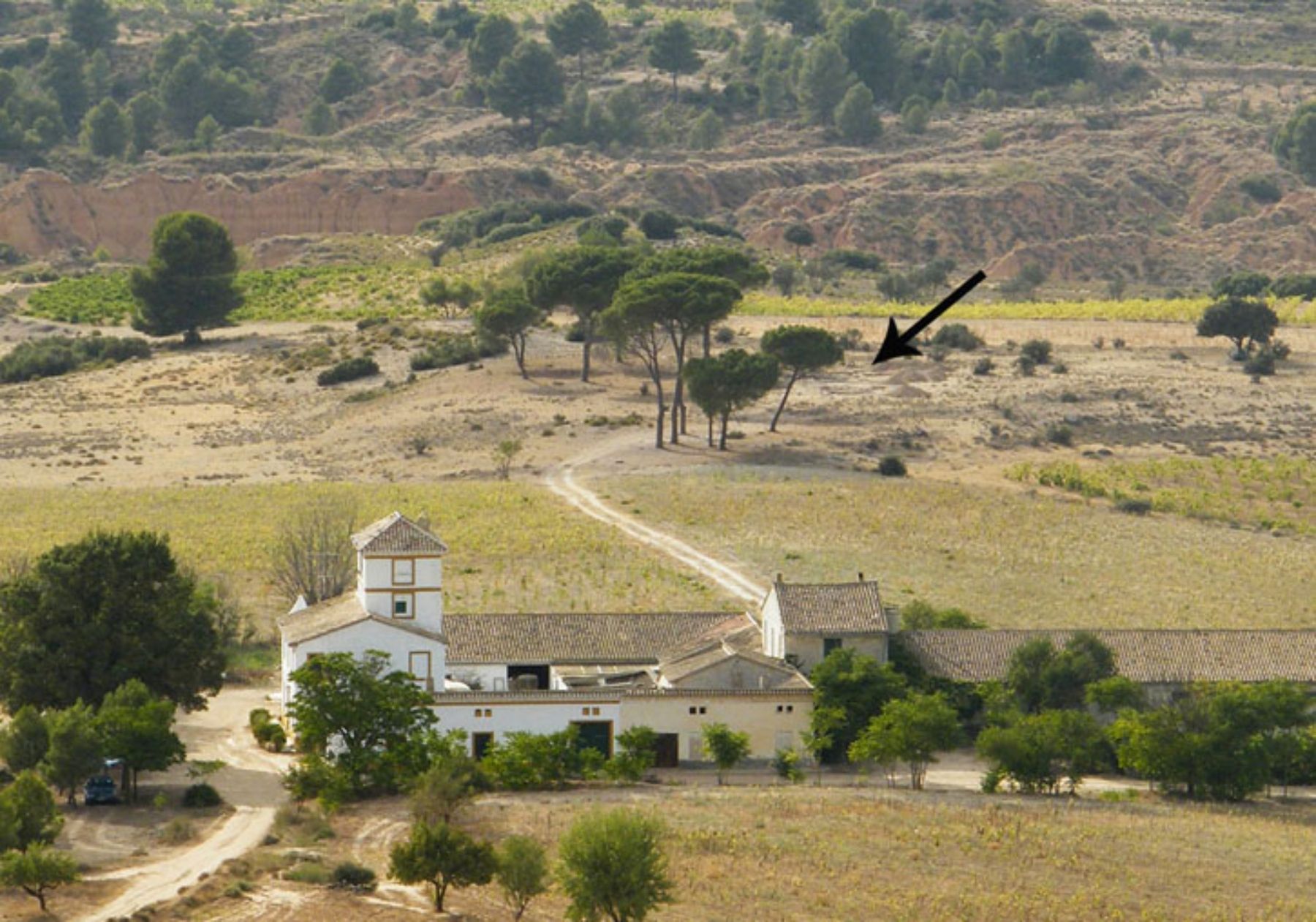 Documentan producción de vino de hace 2.000 años en el yacimiento de Requena (Valencia)