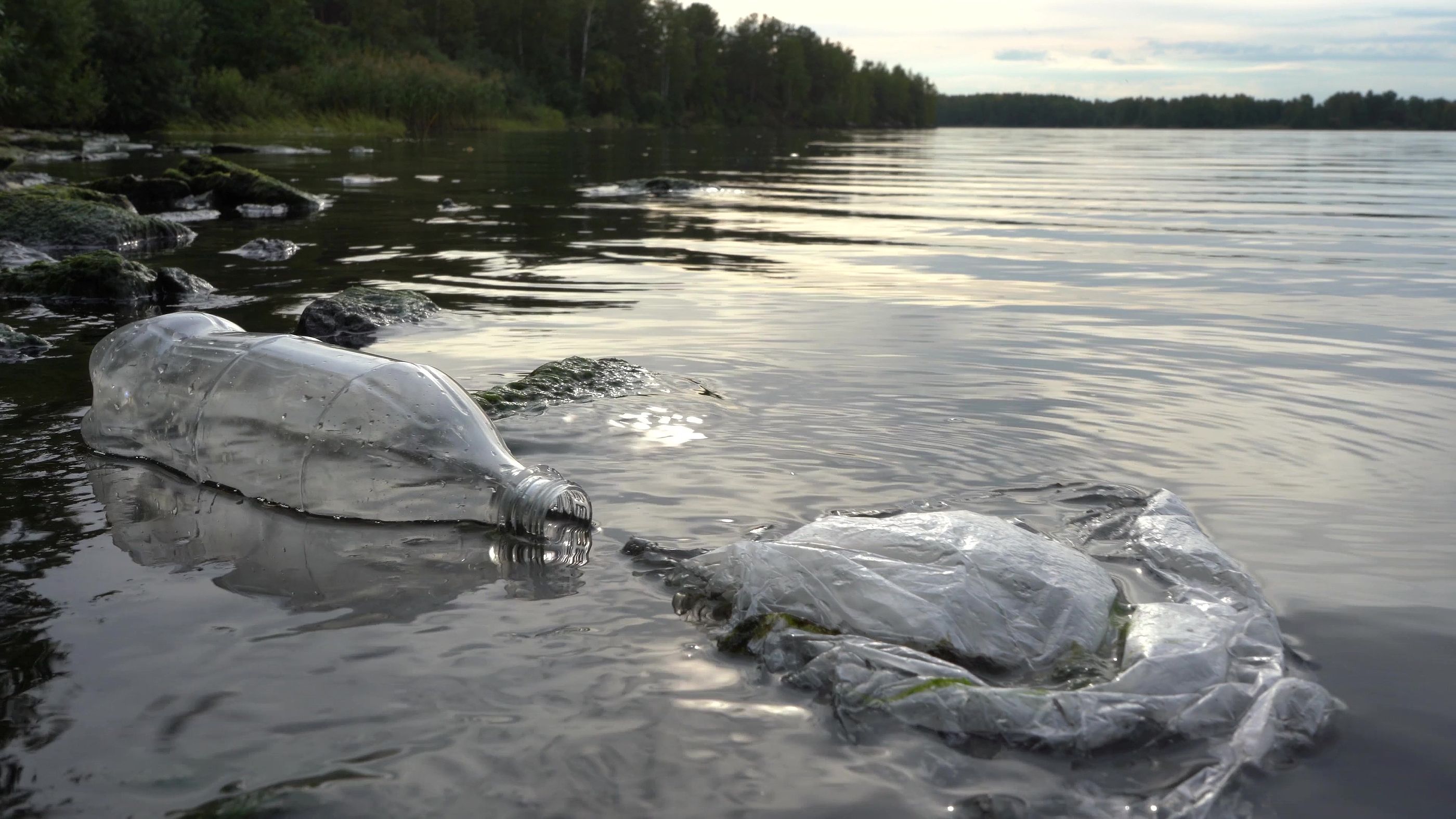 Las bacterias pueden eliminar la contaminación por plástico de los lagos