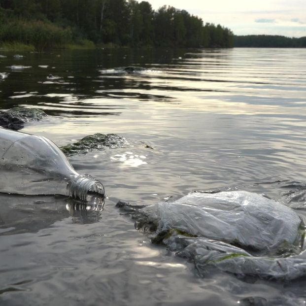 Las bacterias pueden eliminar la contaminación por plástico de los lagos