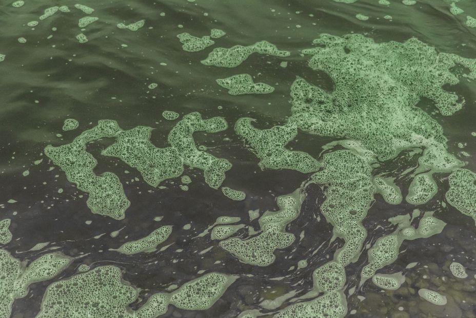 Los plásticos que contaminan los lagos podrían eliminarse mediante bacterias Los plásticos que contaminan los lagos podrían eliminarse mediante bacterias