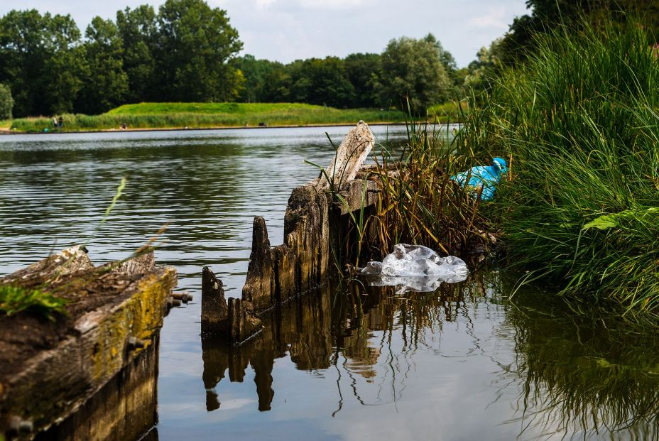 Los plásticos que contaminan los lagos podrían eliminarse mediante bacterias