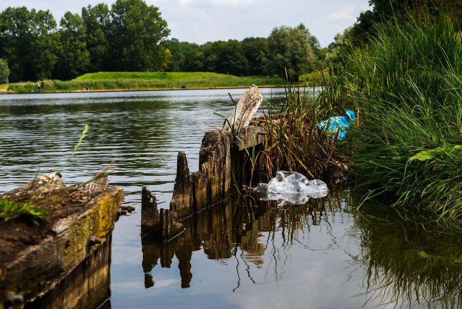 Los plásticos que contaminan los lagos podrían eliminarse mediante bacterias Los plásticos que contaminan los lagos podrían eliminarse mediante bacterias