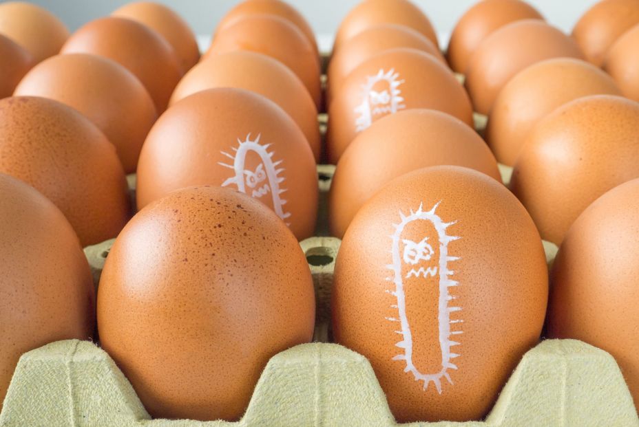 Brote de salmonela en huevos: OCU pide identificar las marcas afectadas Brote de salmonela en huevos: OCU pide identificar las marcas afectadas