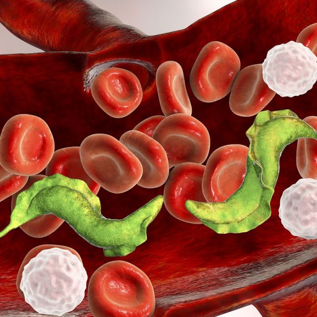 ¿En qué consiste la enfermedad de Chagas? ¿En qué consiste la enfermedad de Chagas?