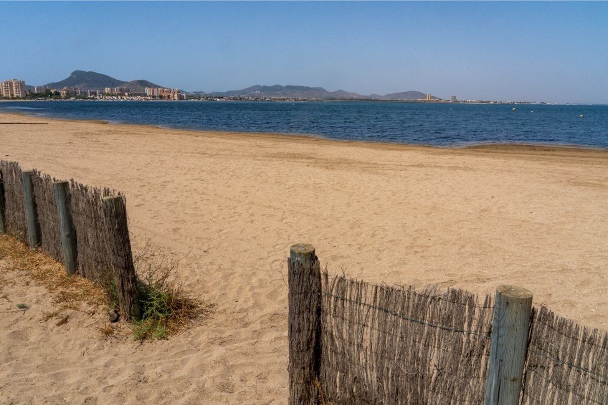 EuropaPress 4601083 lengua vaca alemanes uniran calera isla plana playas caninas EuropaPress 4601083 lengua vaca alemanes uniran calera isla plana playas caninas