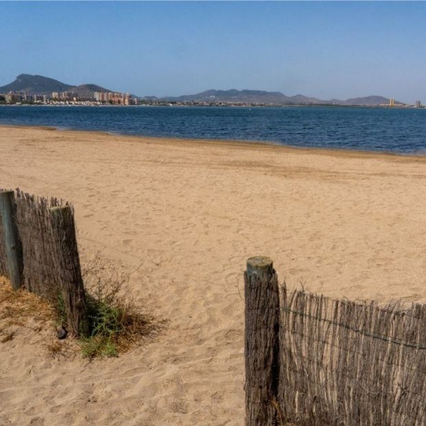 EuropaPress 4601083 lengua vaca alemanes uniran calera isla plana playas caninas EuropaPress 4601083 lengua vaca alemanes uniran calera isla plana playas caninas