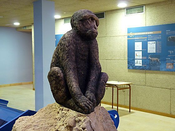 Centro de Interpretación del yacimiento paleontológico de la Sierra de Quibas. Foto Ayuntamiento de Abanilla