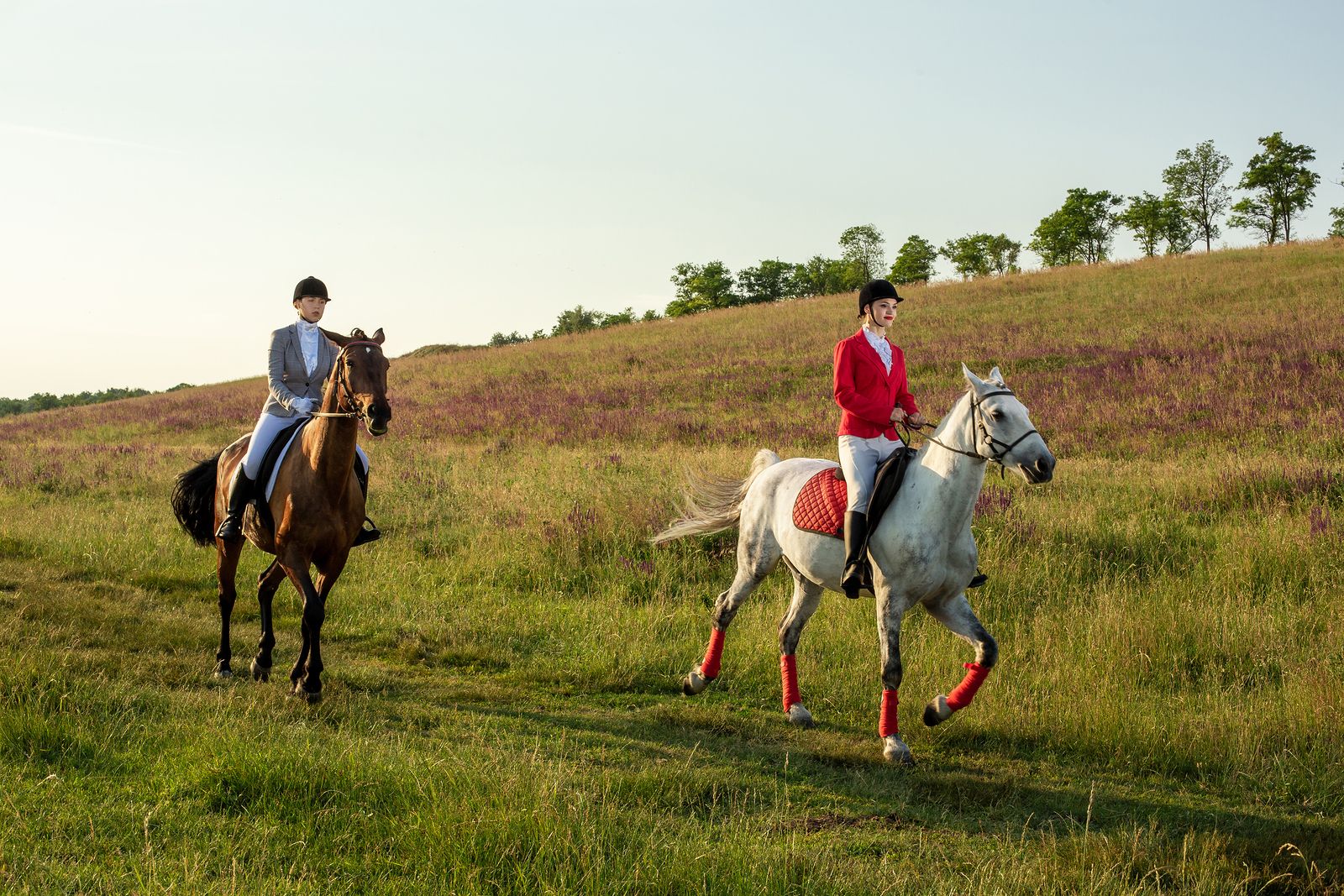 Rutas a caballo: nunca es tarde para probarlo (Bigstock)