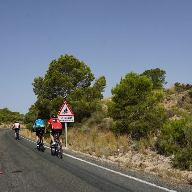 Prisión para el autor del atropello mortal a ocho ciclistas en Castellbisbal (Barcelona)