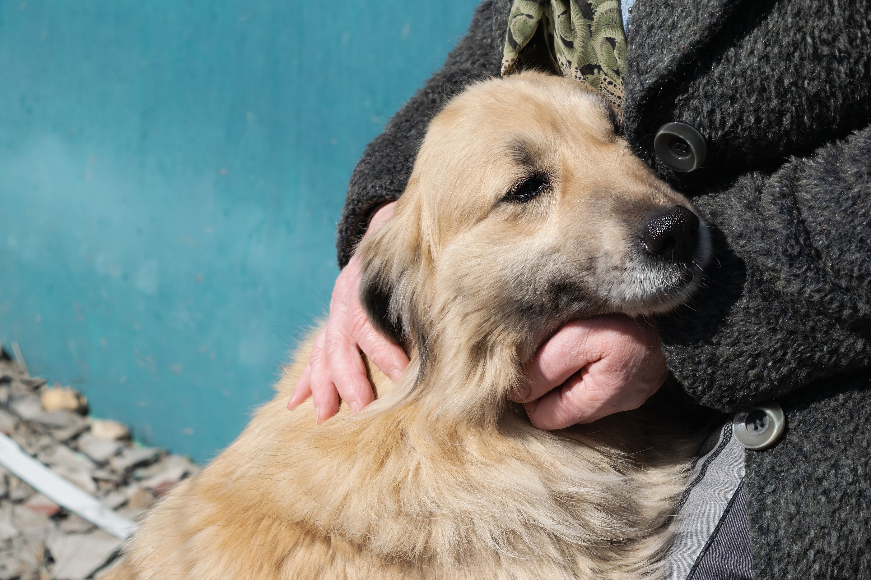 Las actividades con perros pueden reducir hasta en un 60% la soledad de los mayores