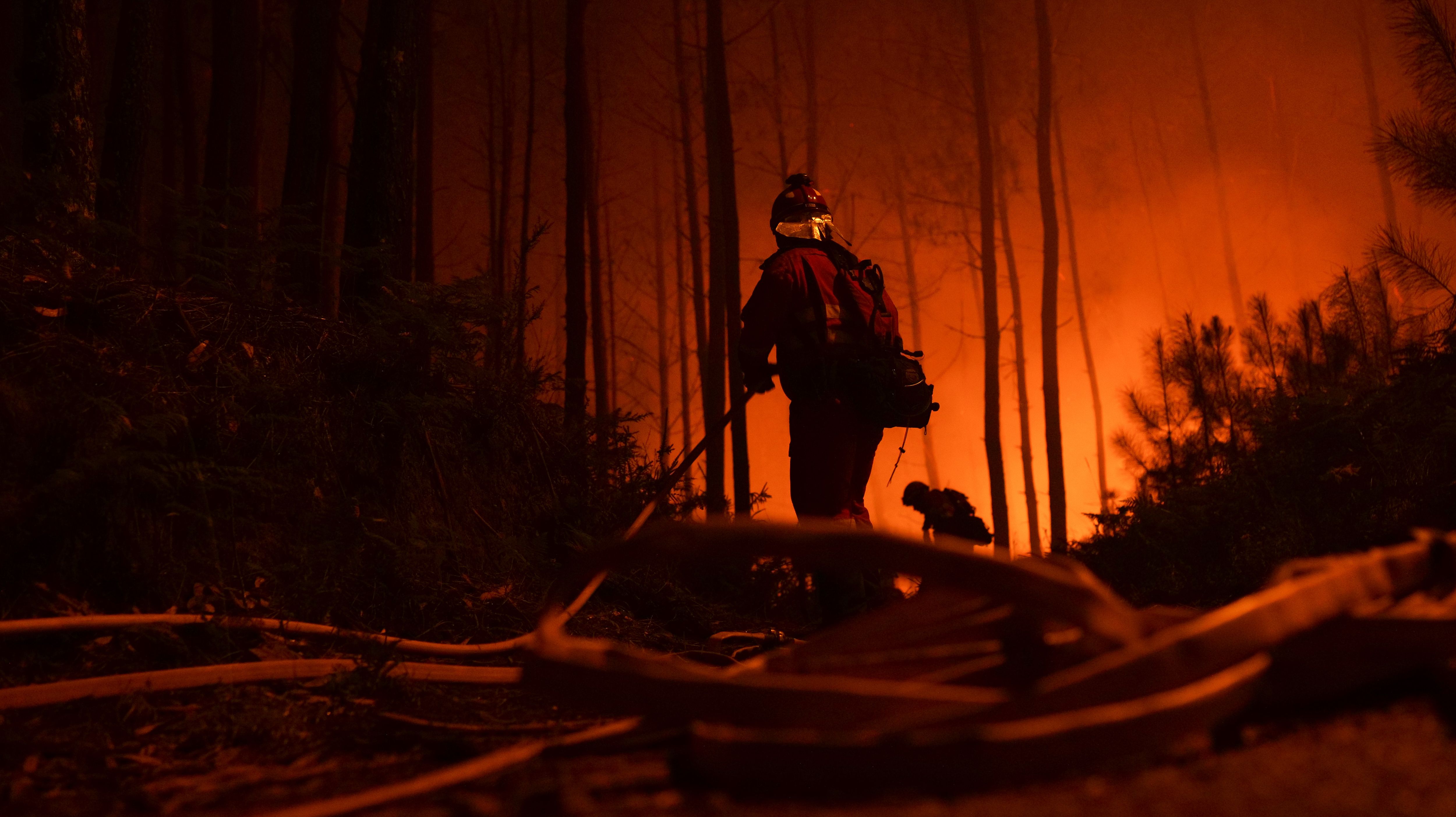 Triste récord: España acumula casi el 40% de hectáreas quemadas por incendios este año en la UE