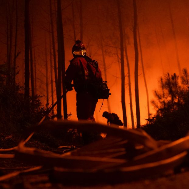 Triste récord: España acumula casi el 40% de hectáreas quemadas por incendios este año en la UE Triste récord: España acumula casi el 40% de hectáreas quemadas por incendios este año en la UE