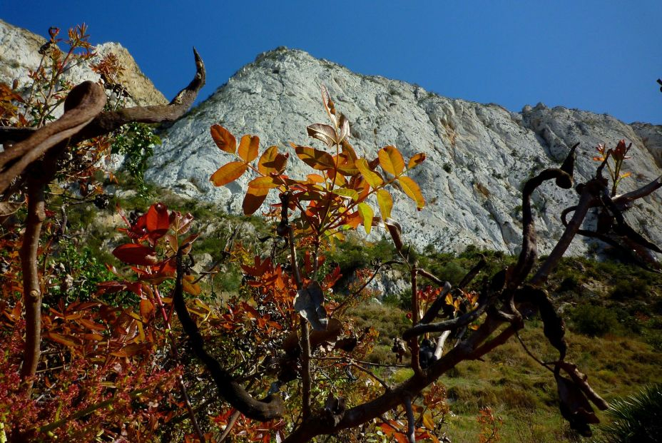 Sierra de la Muela. Foto Wikipedia