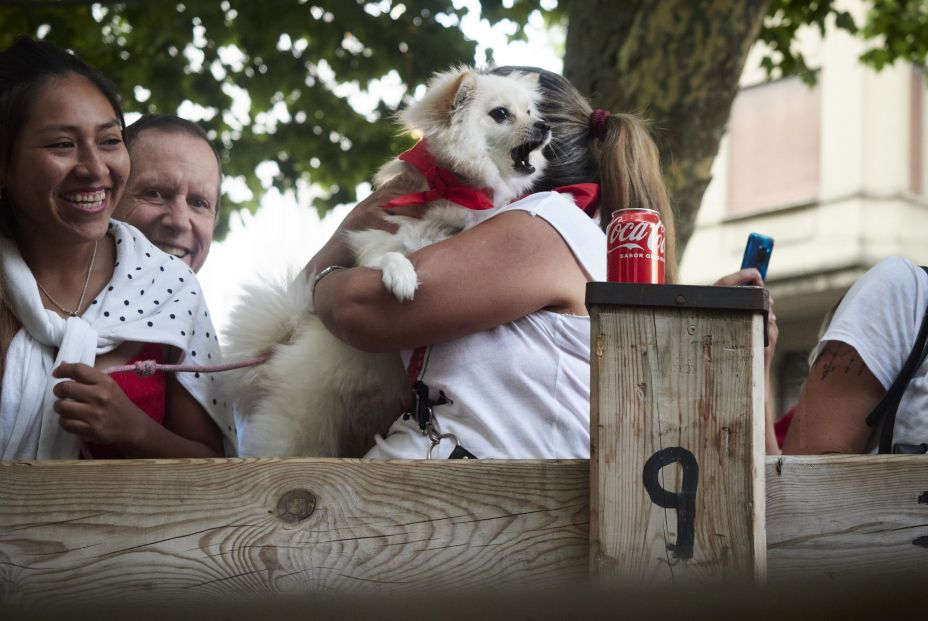 Cómo aliviar el estrés de los perros ante petardos y fuegos artificiales