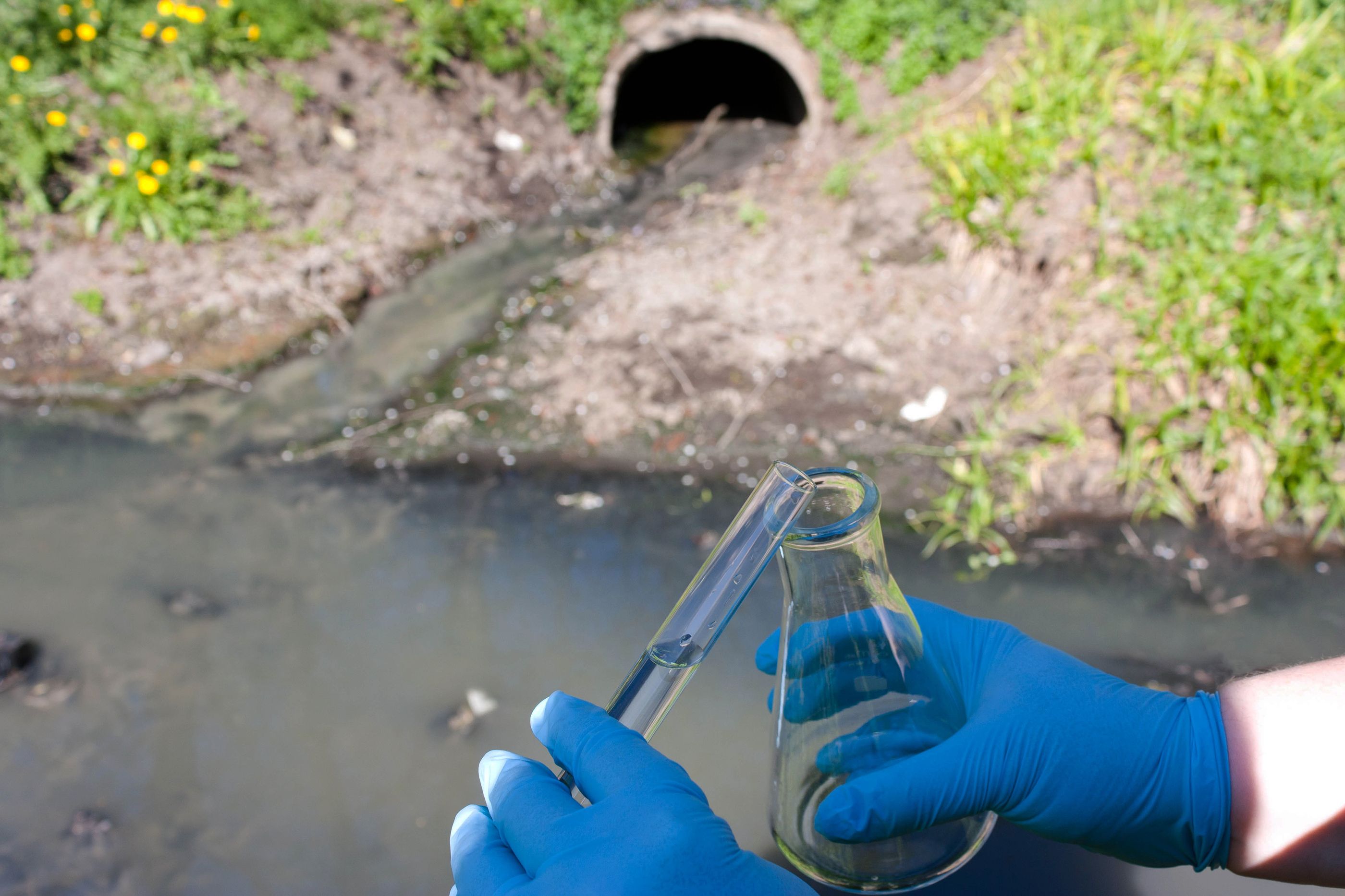 Desarrollan un método para eliminar fármacos del agua residual de residencias de mayores