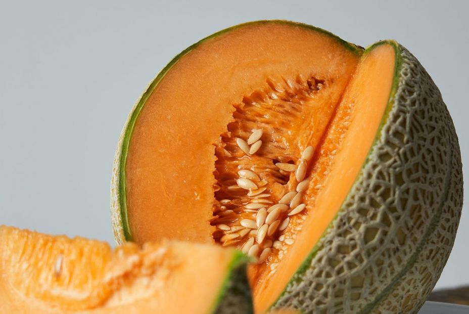 Melón Cantaloup bigstock 