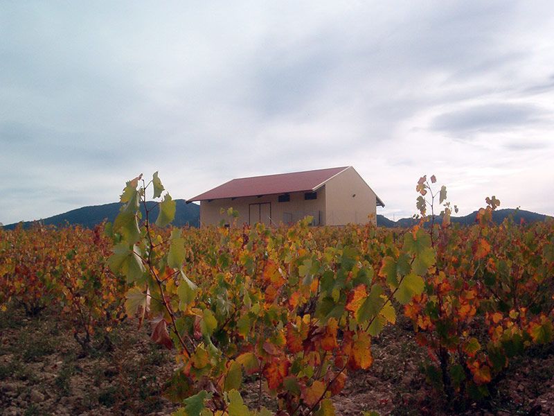 Bodega Monstrell