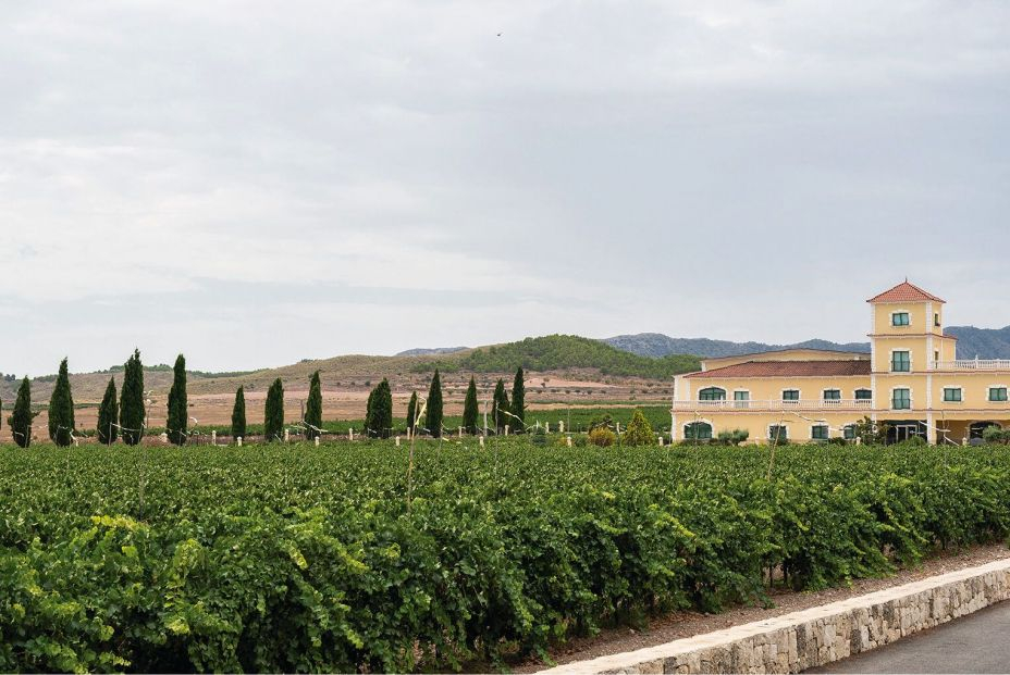 Bodegas Bleda Bodegas Bleda