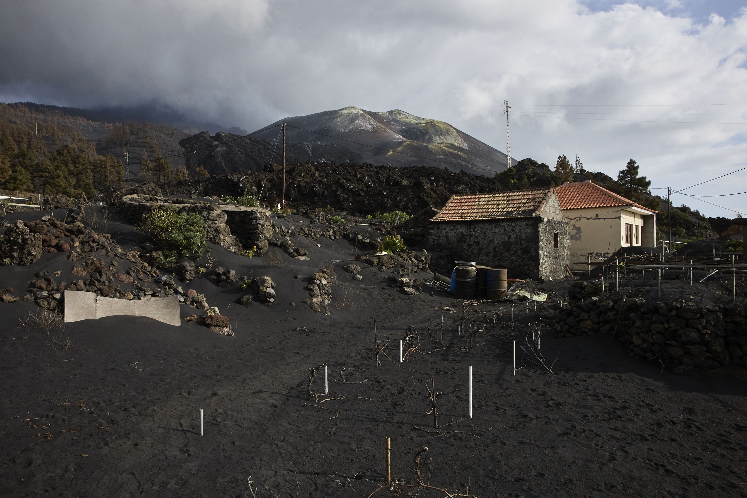 Devastación tras la erupción en La Palma