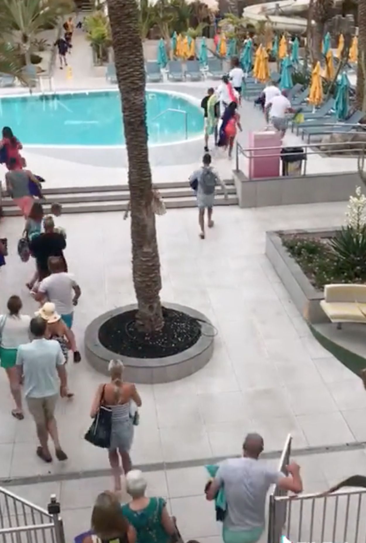 VÍDEO: Batalla campal por conseguir una tumbona en este hotel de Tenerife