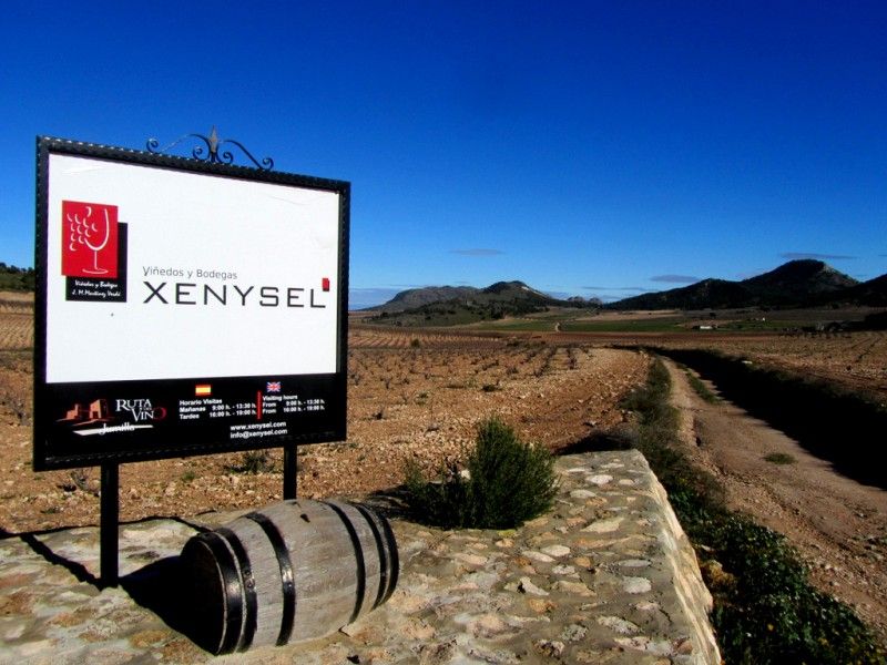 Bodega Xenysel Bodega Xenysel