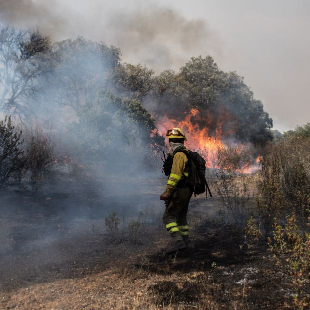 Los rayos han tenido una incidencia "extremadamente alta" este año en los incendios forestales
