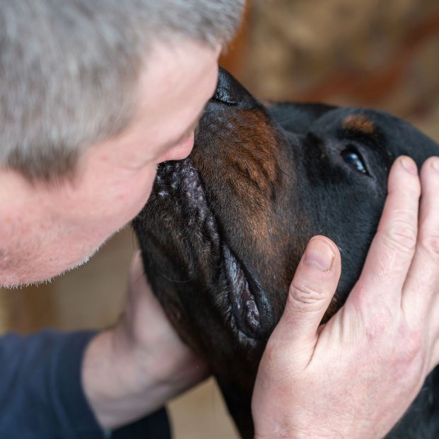 Una logopeda ha conseguido que su perro hable y enseña cómo hacerlo