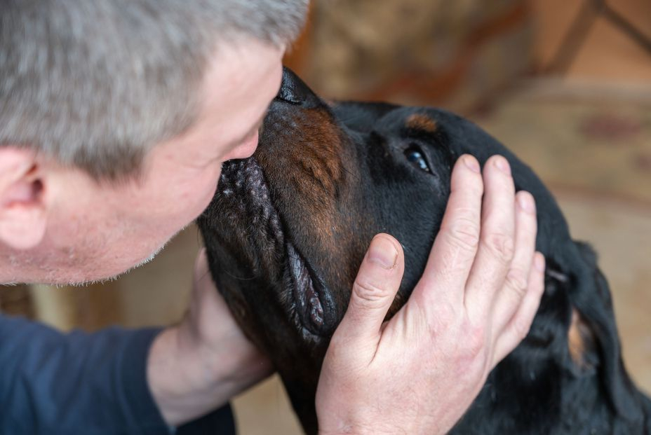 Una logopeda ha conseguido que su perro hable y enseña cómo hacerlo