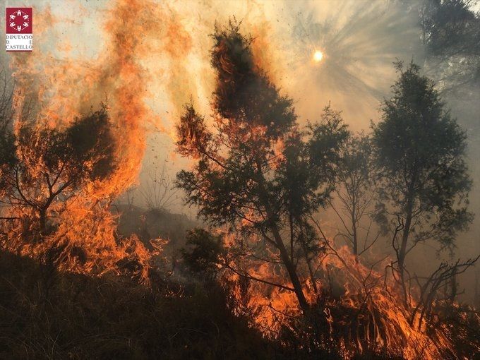 El fuego arrasa España: este año han ardido cuatro veces más hectáreas que la media de una década. Foto: EuropaPress 