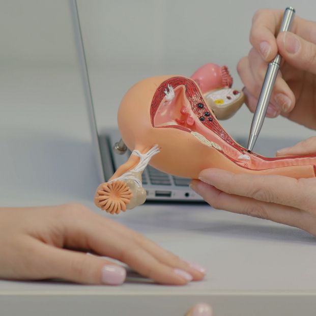 Cáncer de cervix Cáncer de cervix