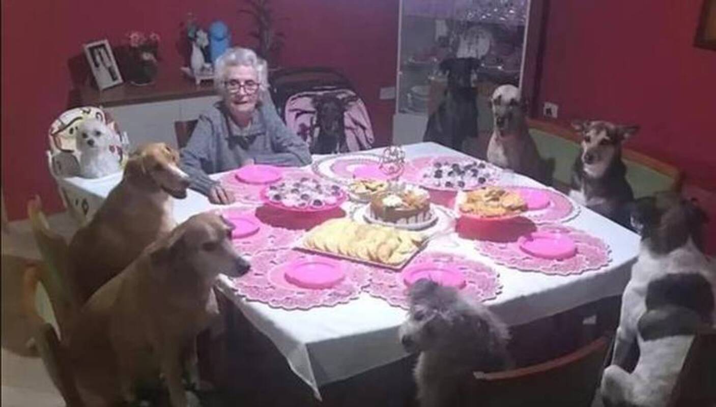 María, la mujer que celebró su 89 cumpleaños con sus diez perros sentados en la mesa junto a ella