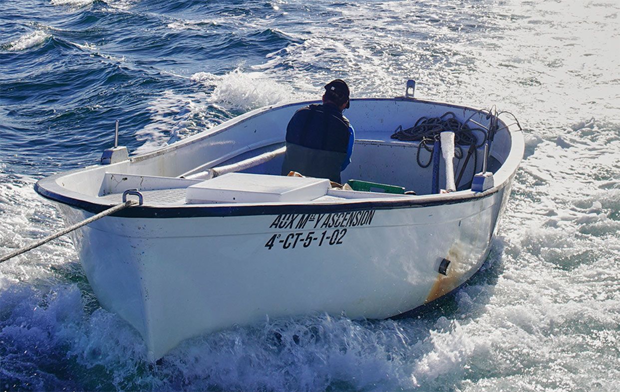 Embarcarse en la pesca tradicional del Mar Menor ya  es posible en San Pedro del Pinatar. Foto: 1.001 Sabores 