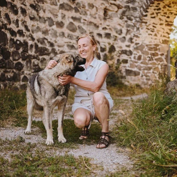 El riesgo en los perros mayores de más de diez años que se duplicada cada año