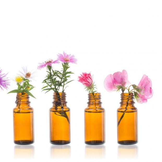 Qué son las Flores de Bach Qué son las Flores de Bach