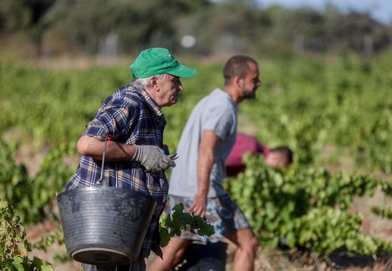 Las duras recomendaciones de la OCDE: que los mayores sigan trabajando y paguen más por la sanidad. Foto: EuropaPress